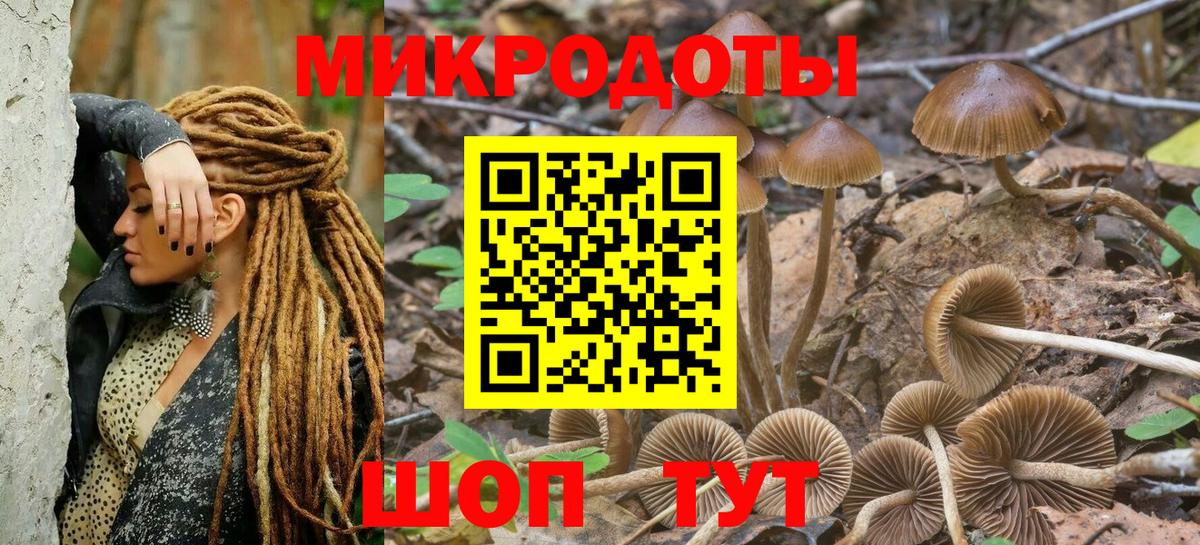 Сухой Лог  Галлюциногенные грибы ЛСД  Вход с VPN  Псилоцибиновые грибы мицелий 